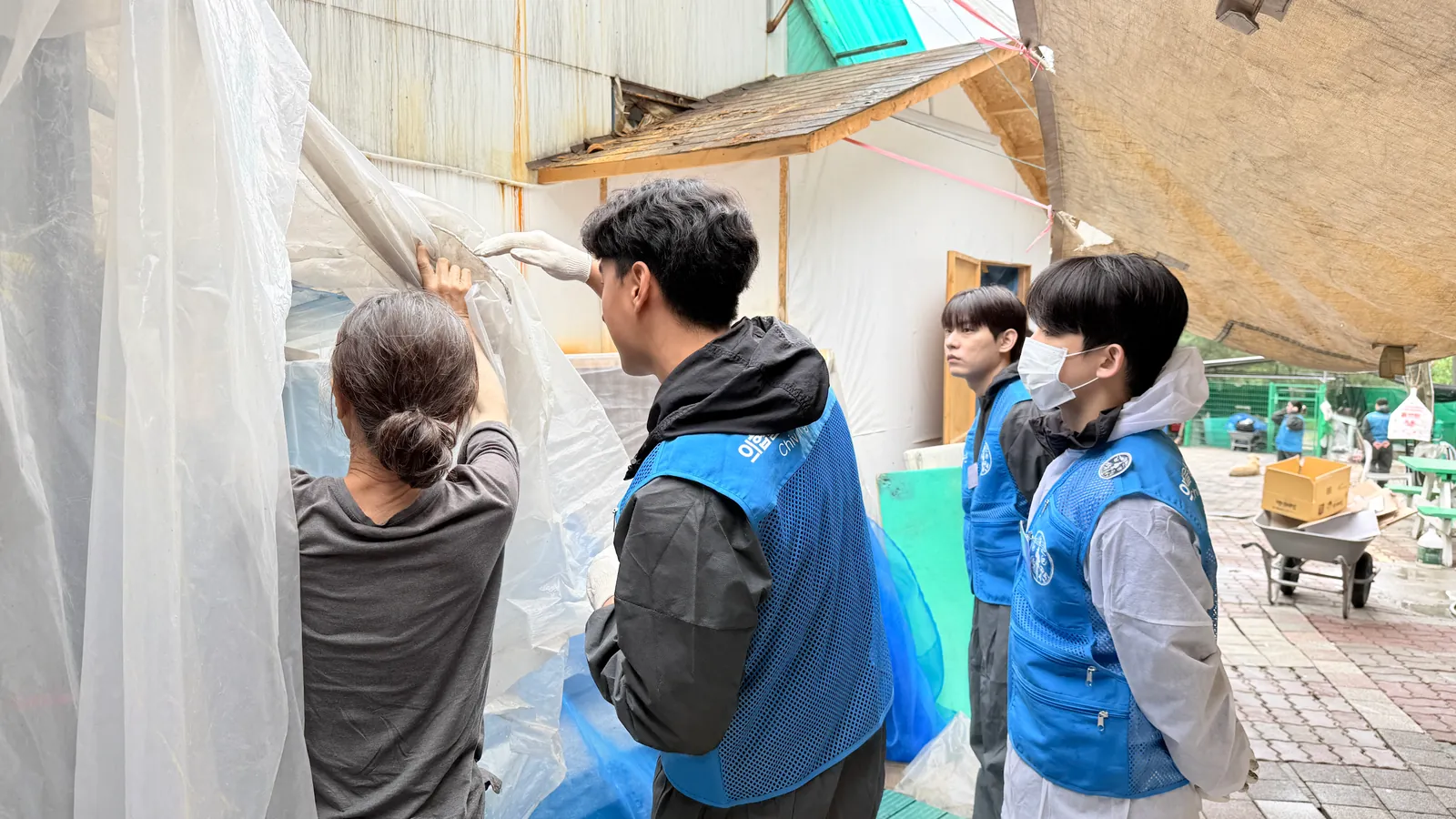 보호소 방풍막 설치 위치를 확인하는 봉사자들